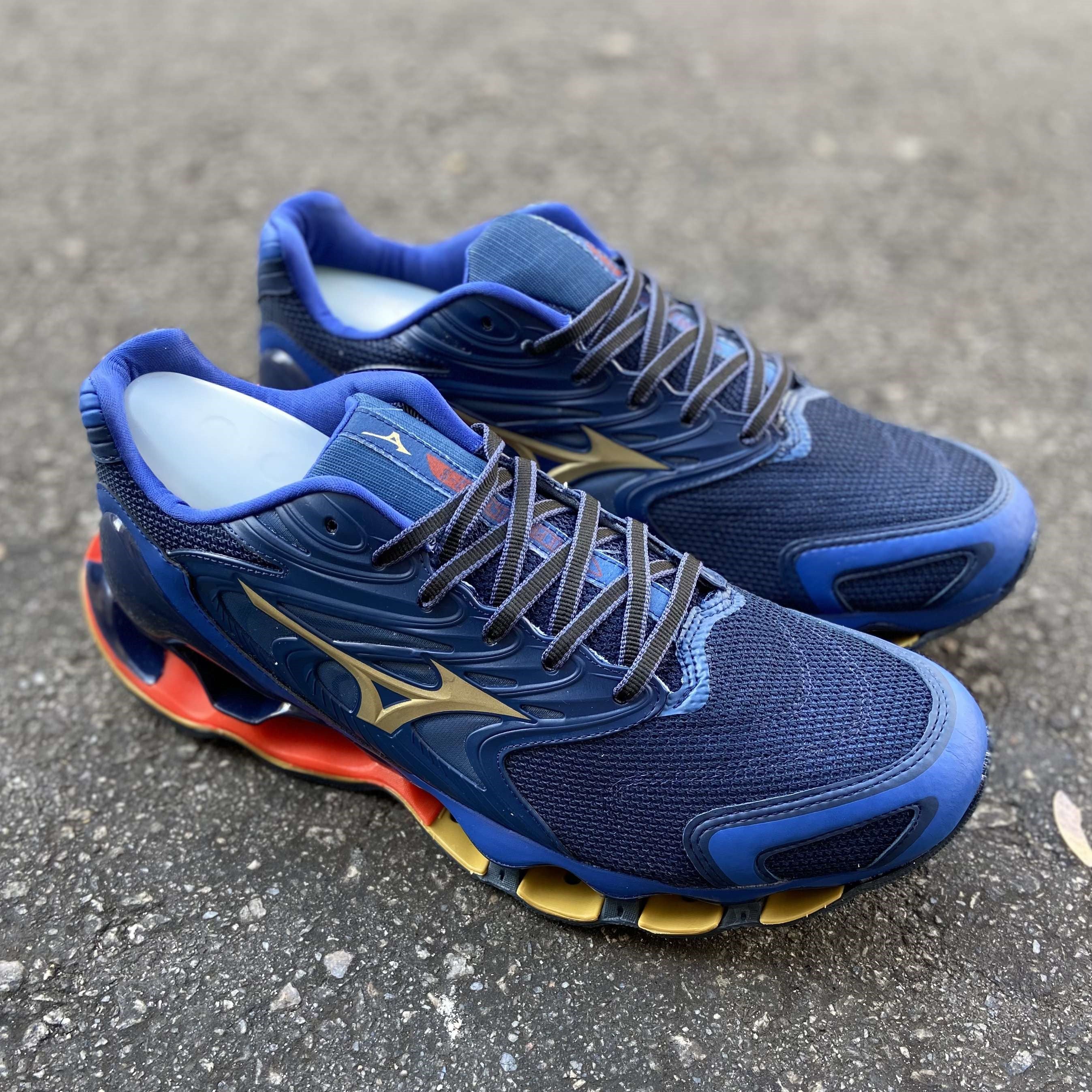 Wave Prophecy 12S Dark Blue Gold Wine Red