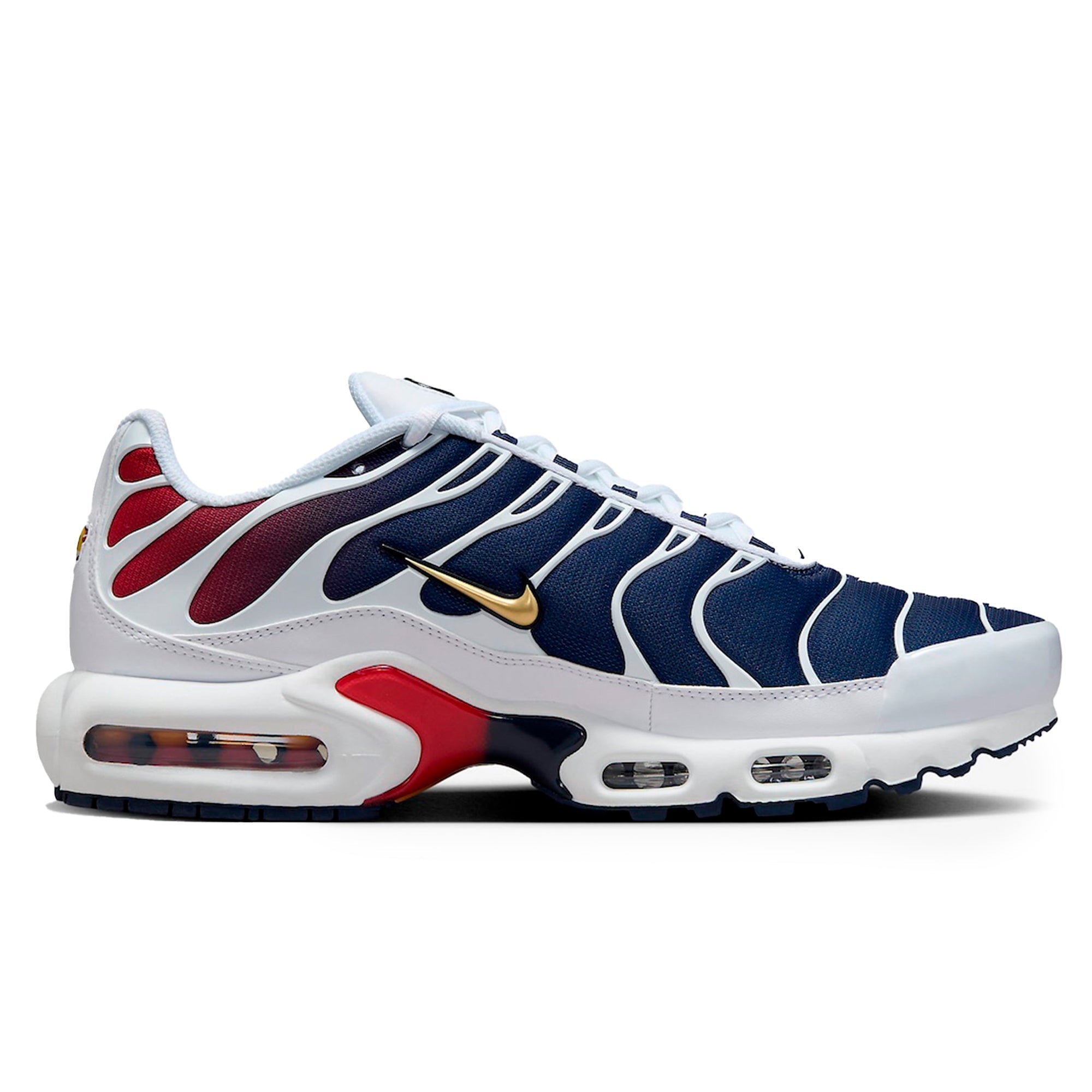 Air Max Plus TN PSG