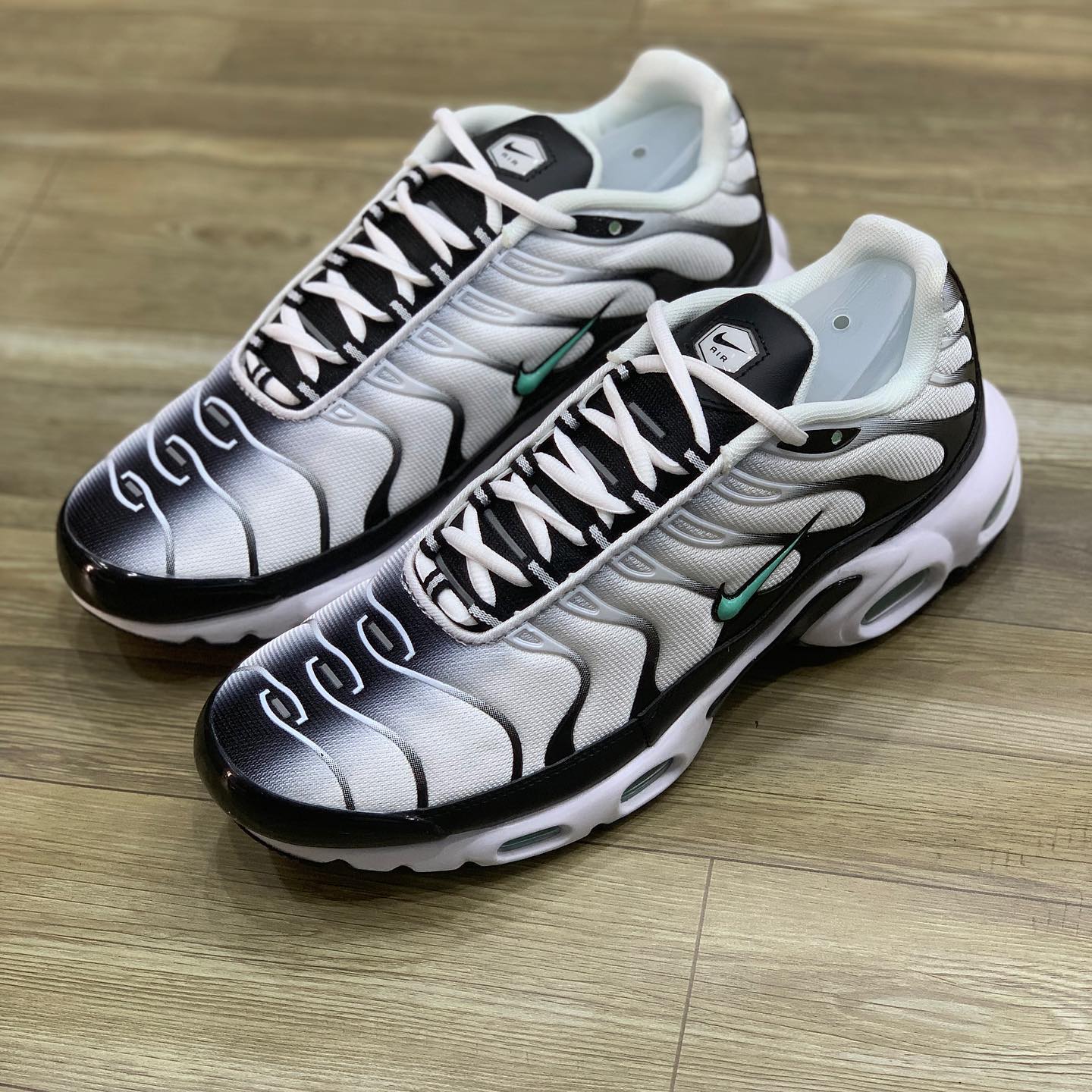 Air Max Plus Seafoam