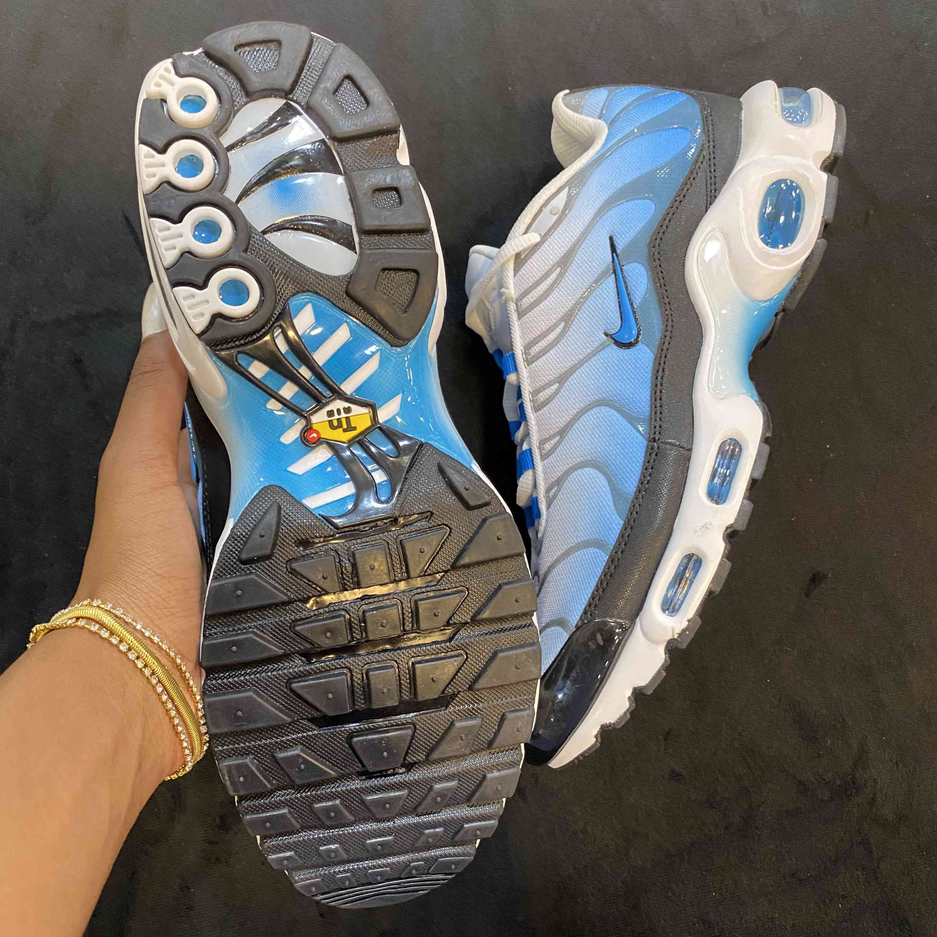 Air Max Plus TN Ice