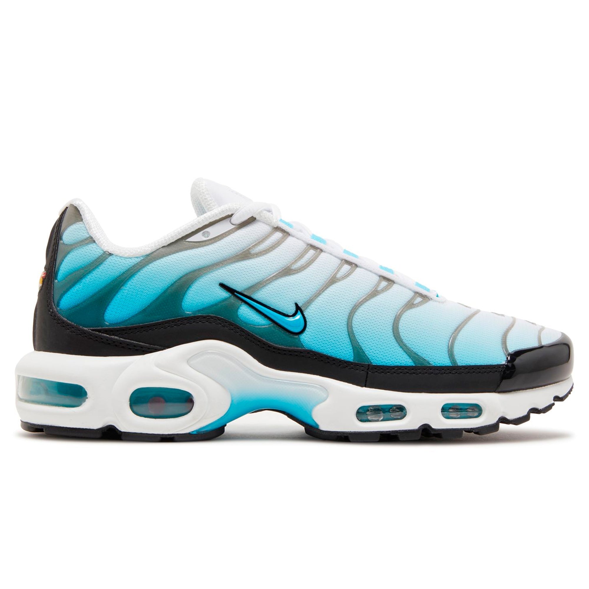 Air Max Plus TN Ice