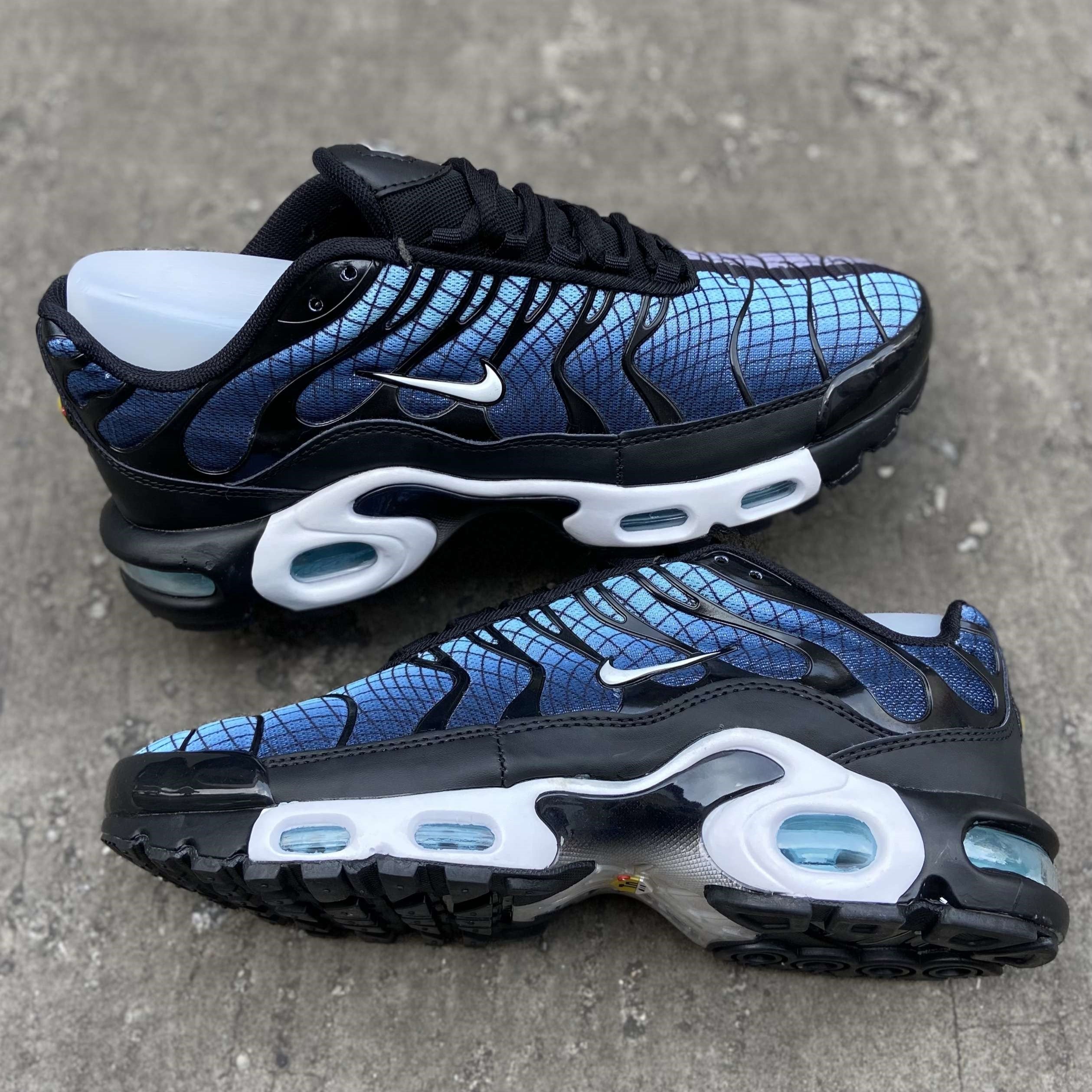 Air Max Plus TN Dark Greedy