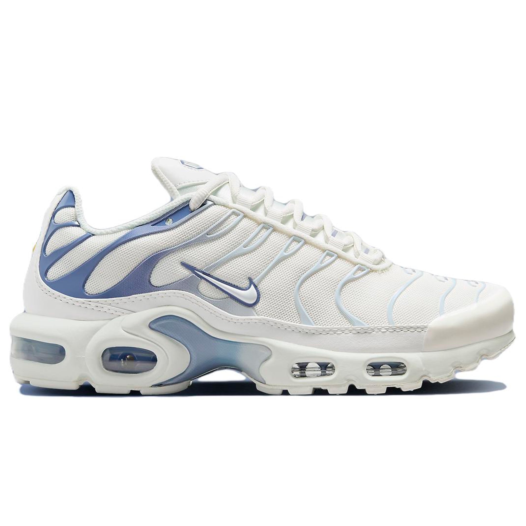 Air Max Plus TN Ashen Slate