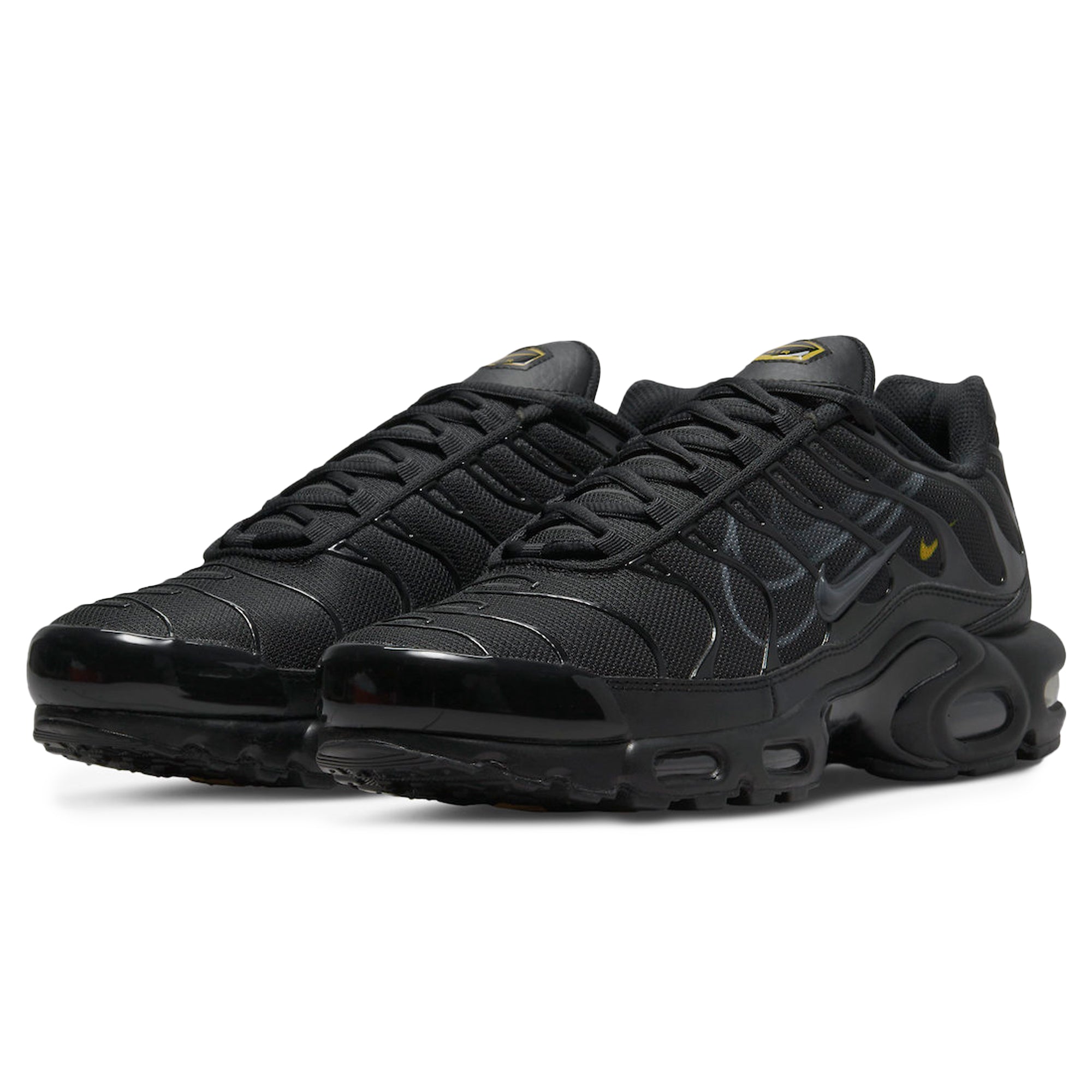 Air Max Plus TN Multi Swoosh Black
