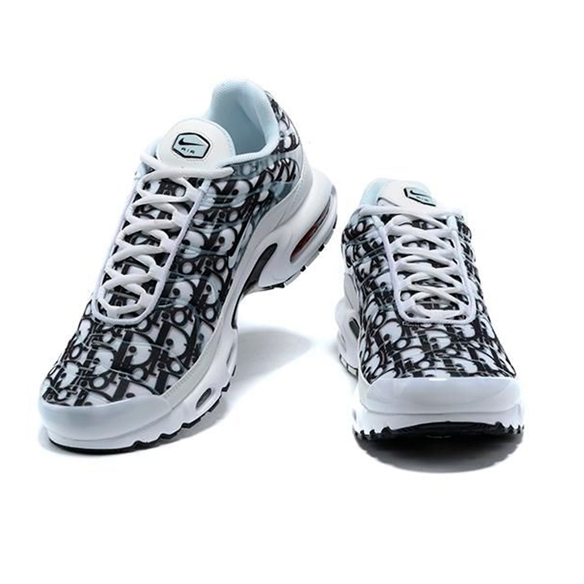 Air Max Plus TN Dior