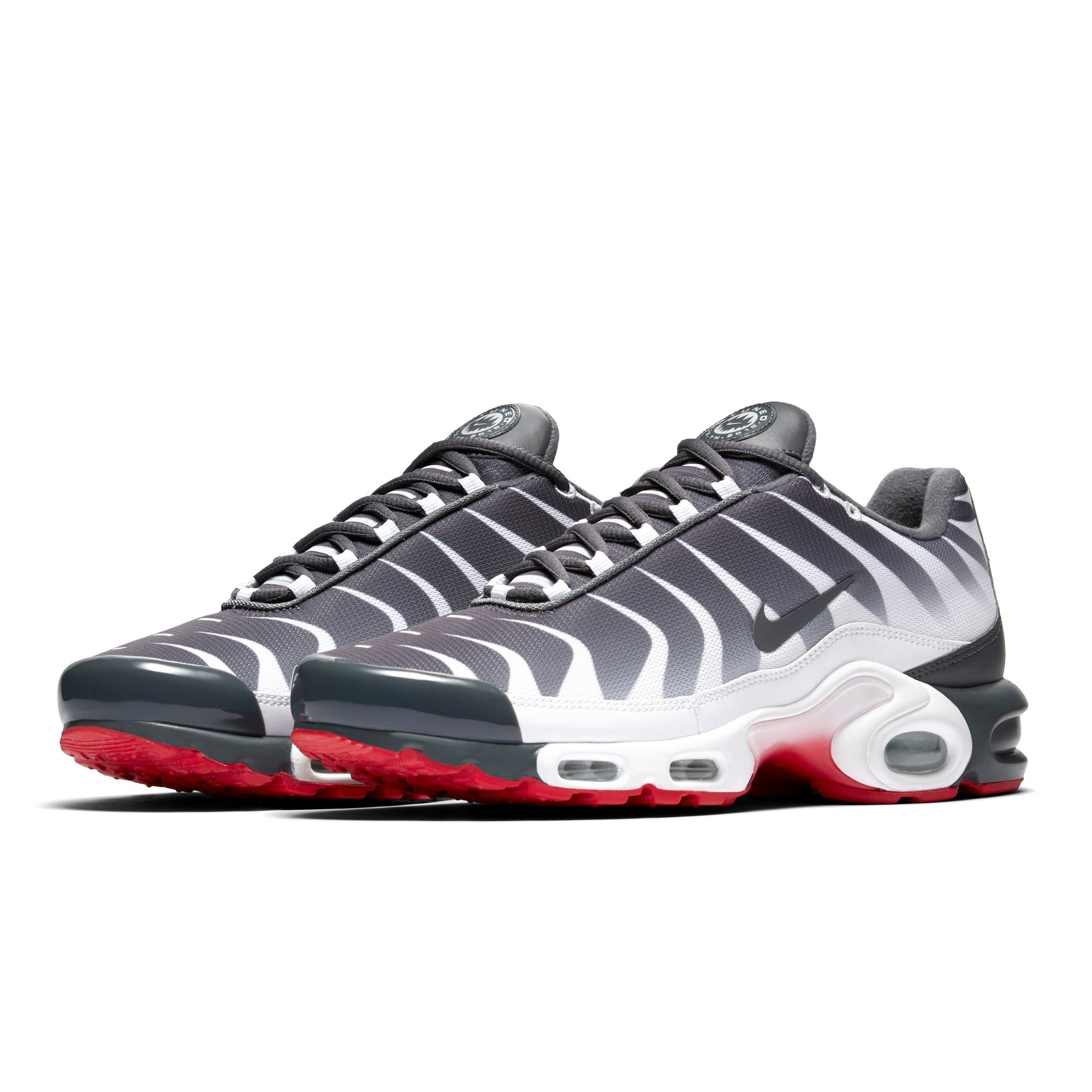 Air Max Plus Before the Bite