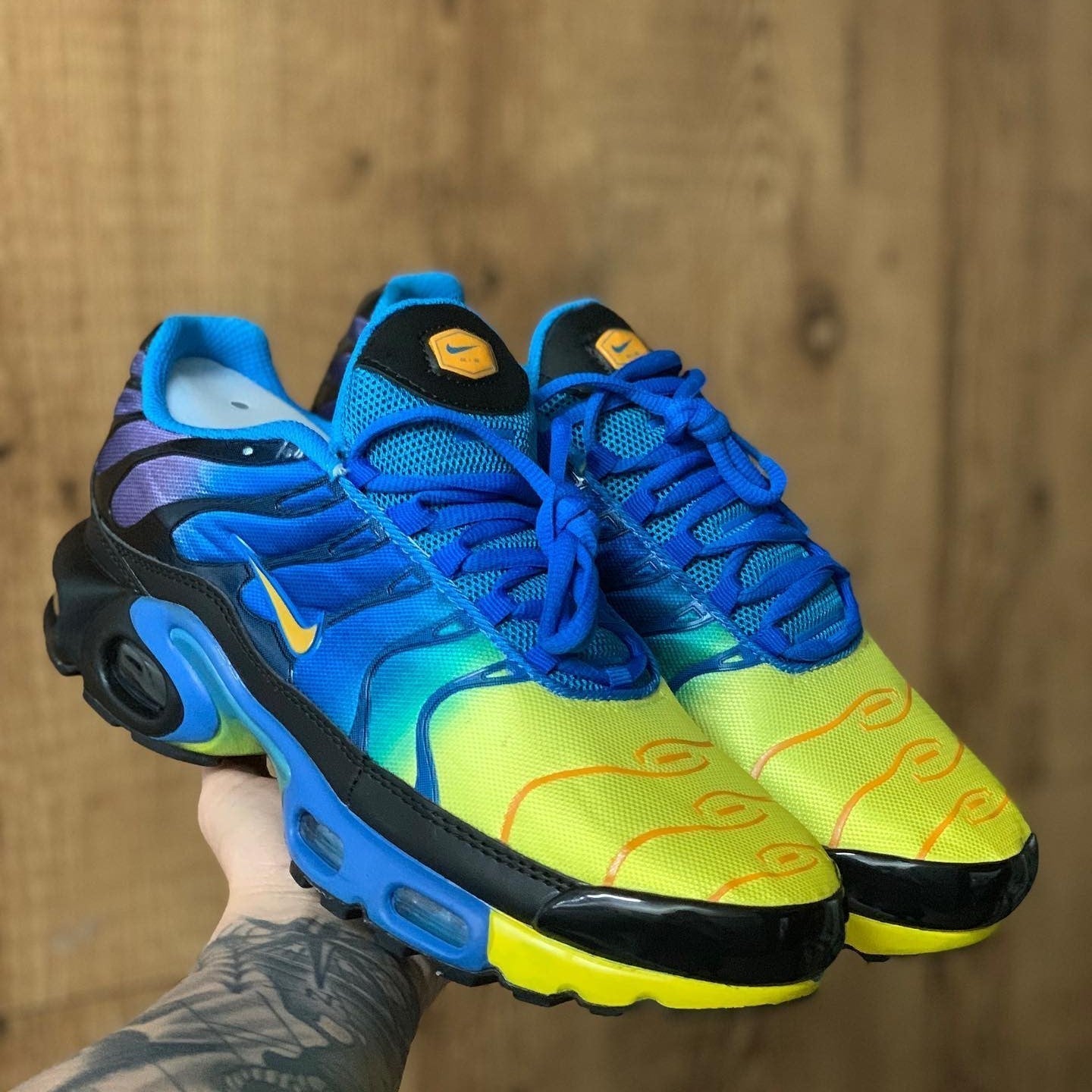 Air Max Plus TN Multi Color Gradient Blue