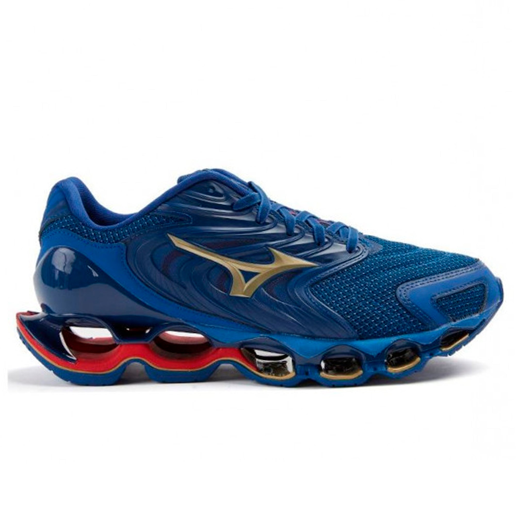 Wave Prophecy 12S Dark Blue Gold Wine Red