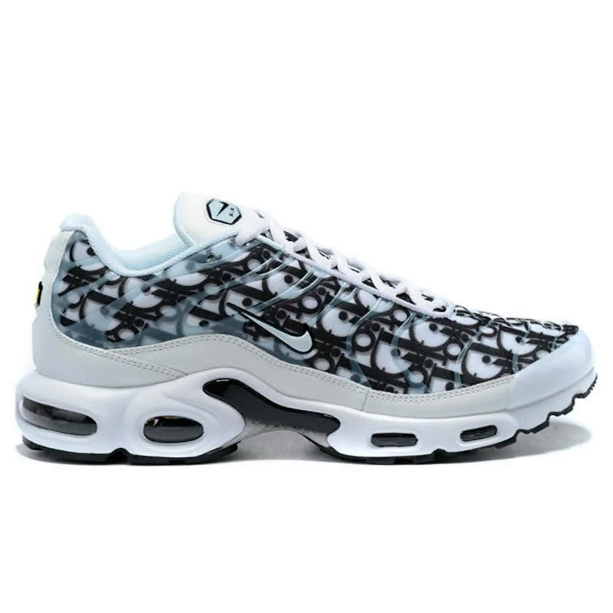 Air Max Plus TN Dior
